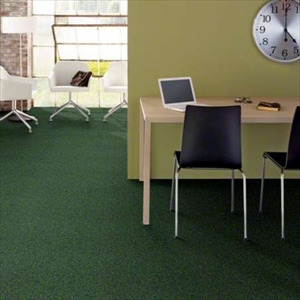 Multiplicity Tile
